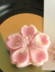 笹屋吉清　京和菓子　さくら